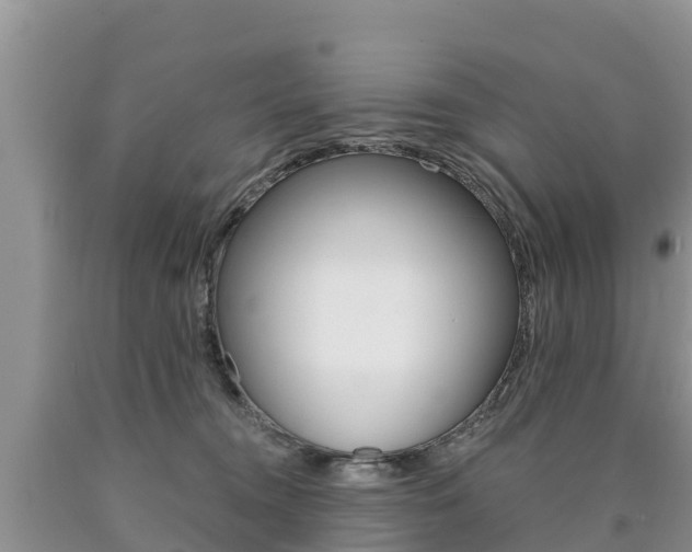 X0000090780372200707201139