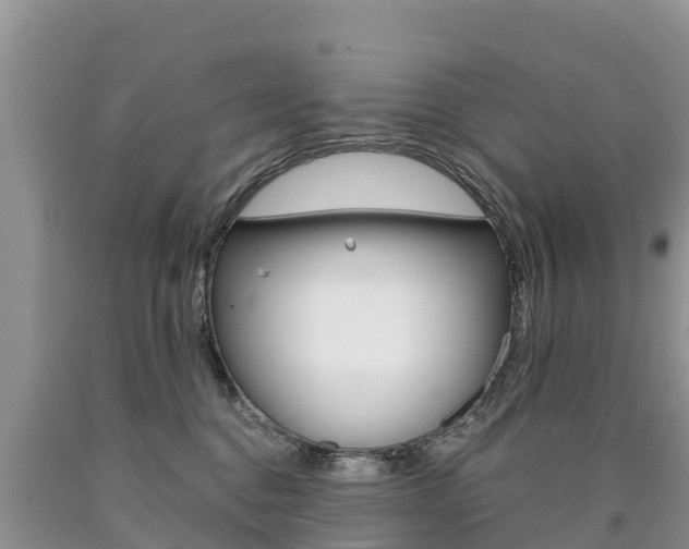 X0000090780376200707201140