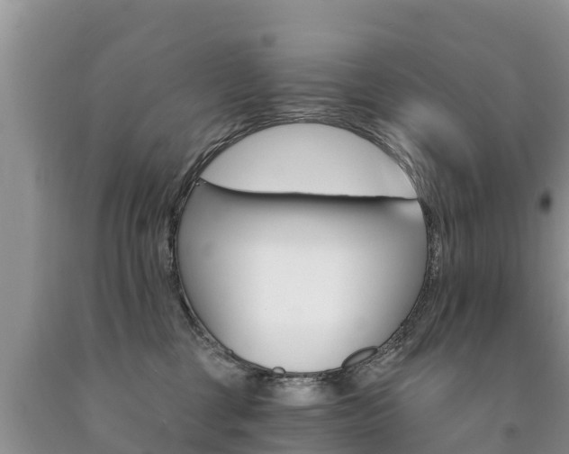 X0000090780377200707201140