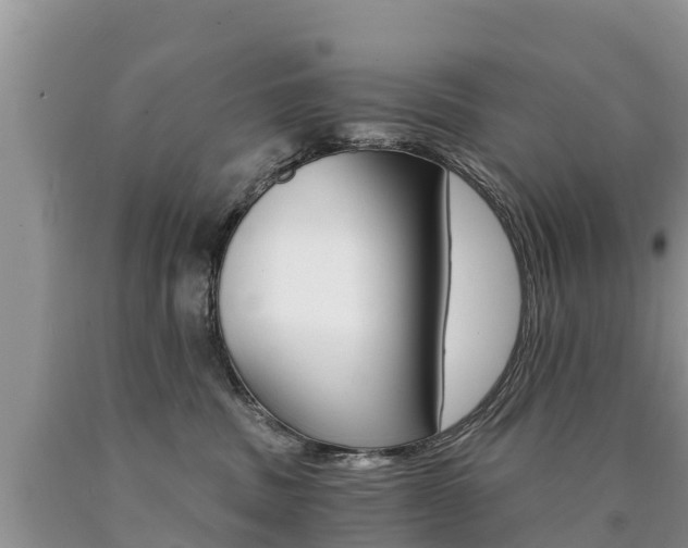 X0000090780379200707201140