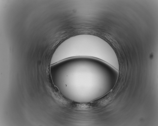 X0000090780380200707201140