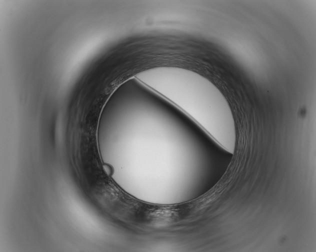 X0000090780383200707201140