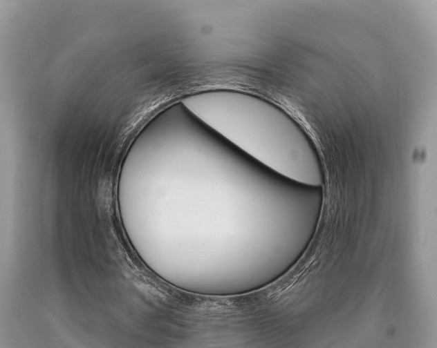 X0000090780386200707201139