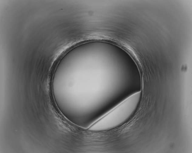 X0000090780387200707201139