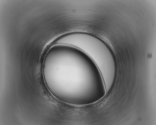 X0000090780388200707201139