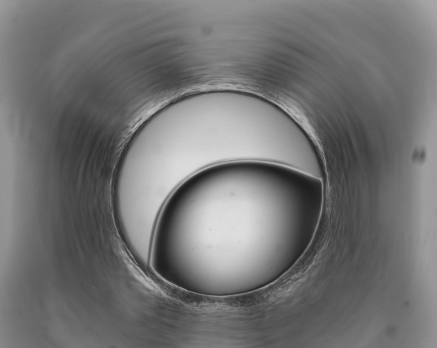 X0000090780389200707201139