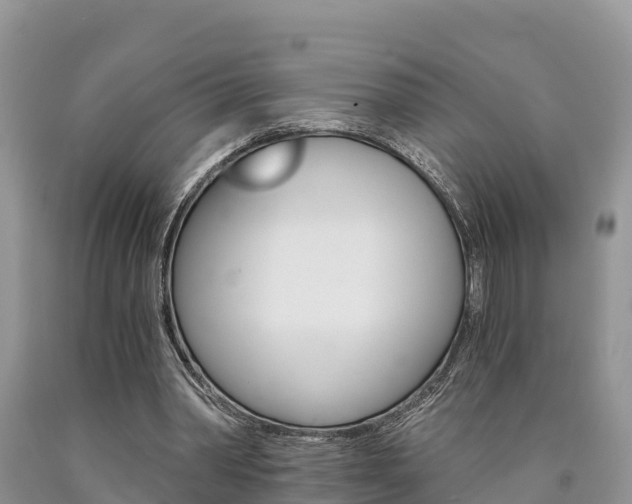 X0000090780390200707201139