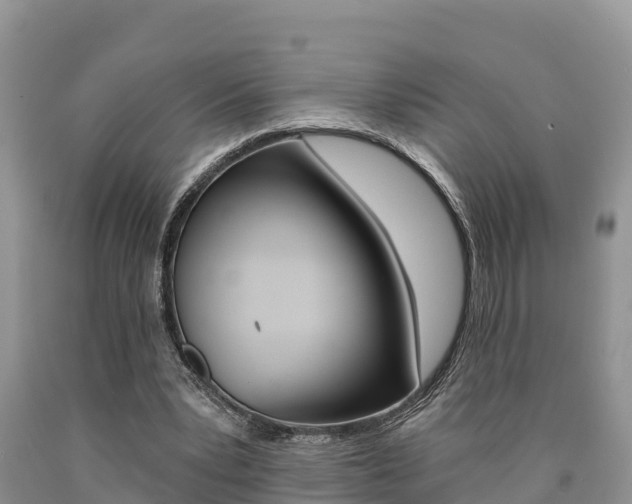 X0000090780391200707201139