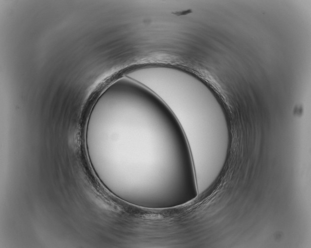 X0000090780392200707201139