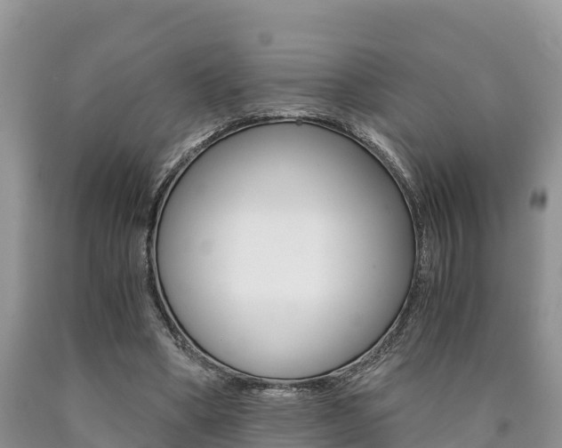 X0000090780394200707201139