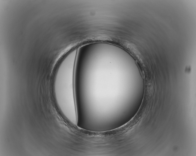 X0000090780395200707201139