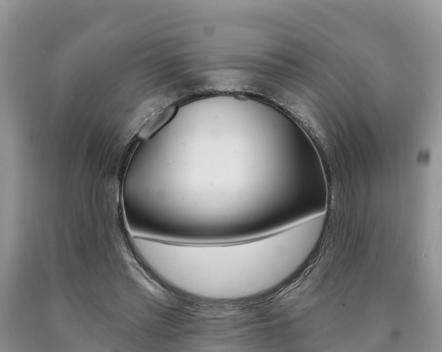 X0000090780397200707201139