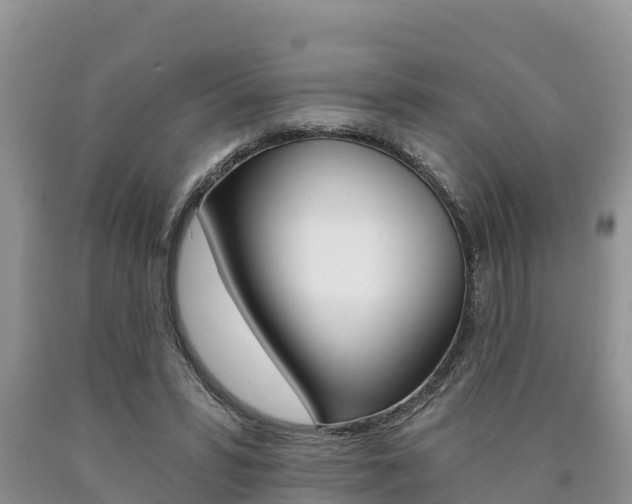 X0000090780399200707201139
