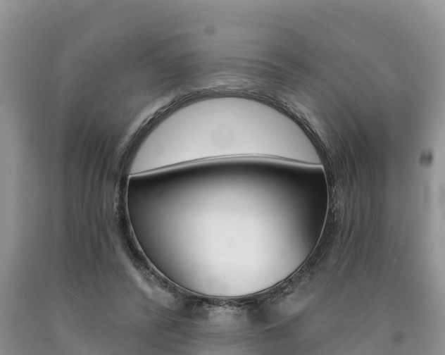 X0000090780400200707201139