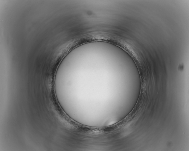 X0000090780402200707201139