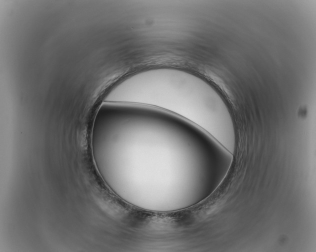 X0000090780403200707201139