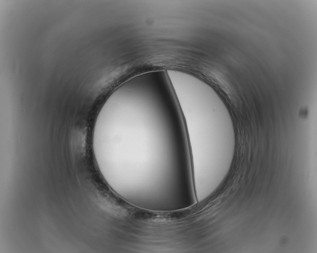 X0000090780404200707201139
