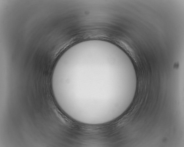 X0000090780405200707201139
