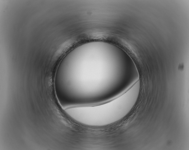 X0000090780407200707201139