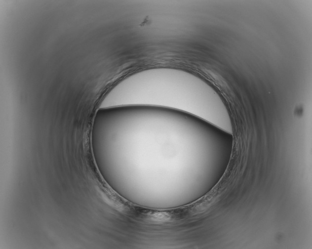 X0000090780409200707201139