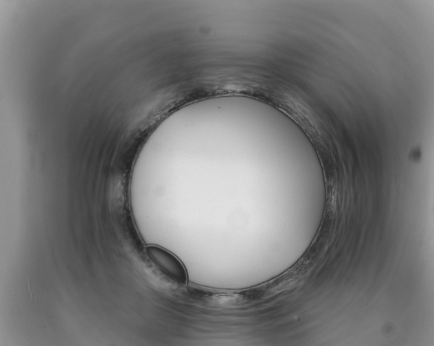 X0000090780410200707201139