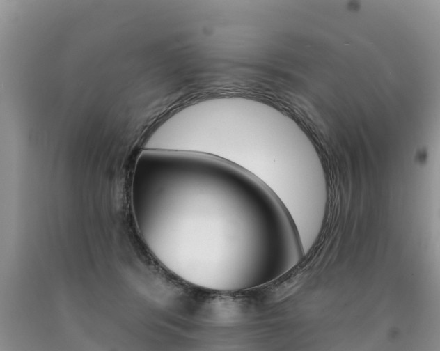 X0000090780416200707201139