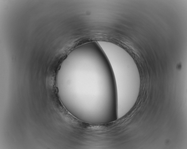 X0000090780417200707201139