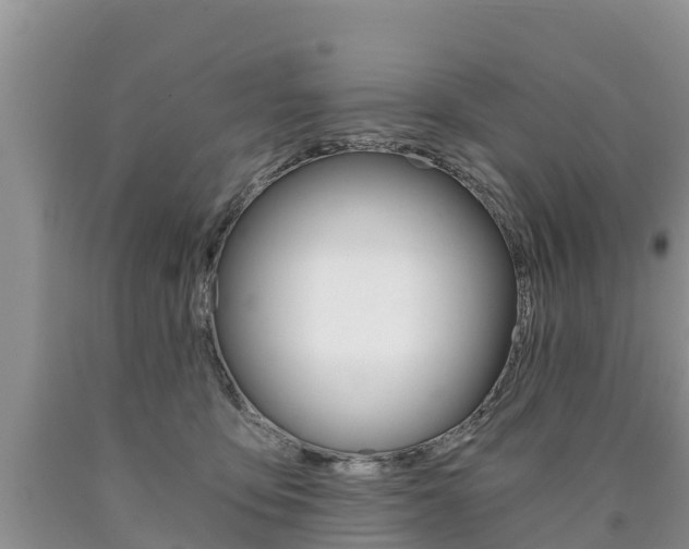 X0000090780419200707201139