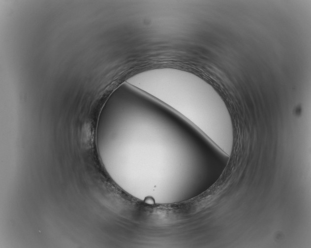 X0000090780420200707201139