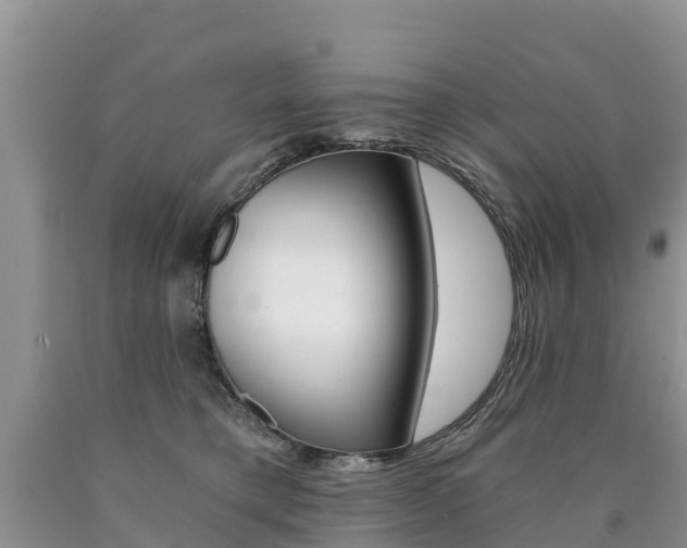 X0000090780421200707201139