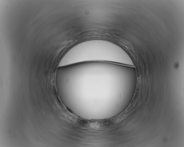 X0000090780423200707201139