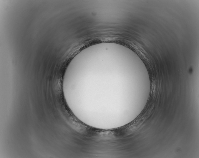 X0000090780426200707201138