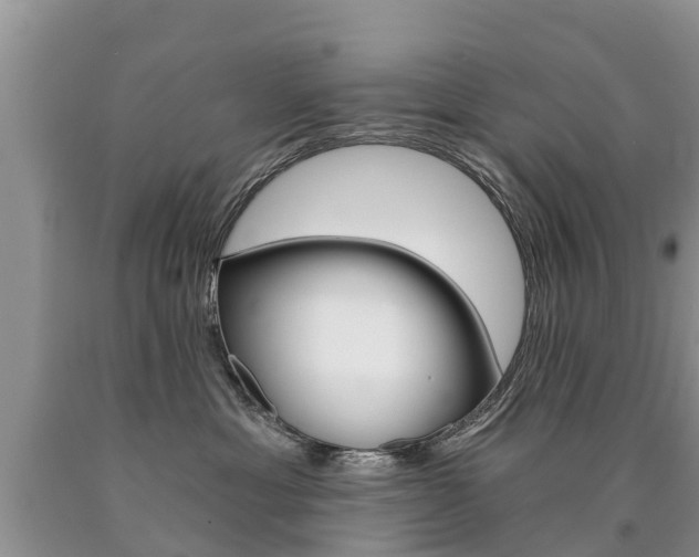 X0000090780429200707201138