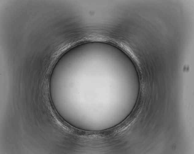 X0000090780433200707201138
