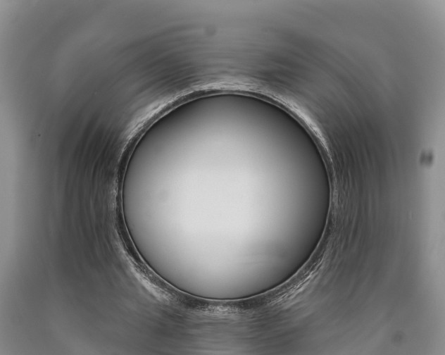 X0000090780437200707201138