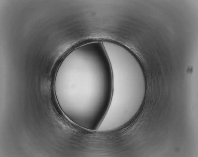X0000090780440200707201138