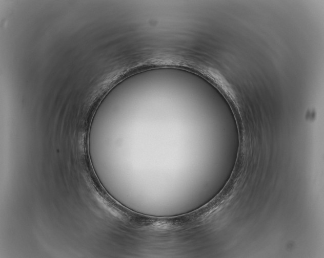 X0000090780441200707201138