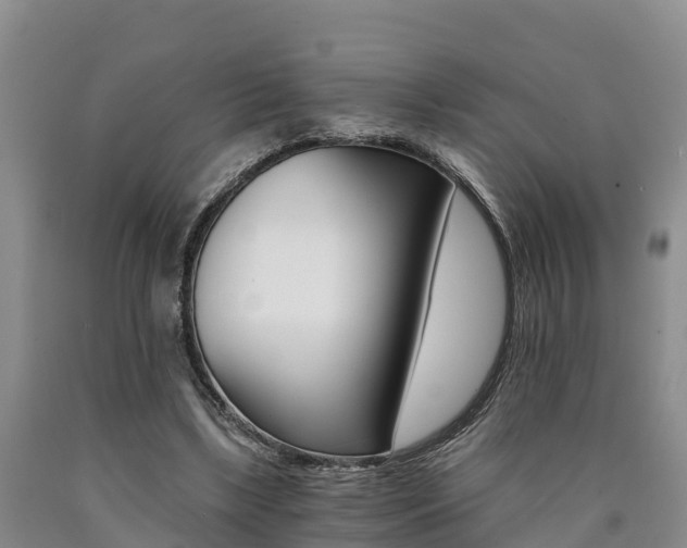 X0000090780443200707201138