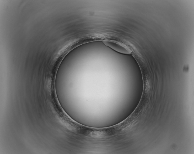 X0000090780444200707201138