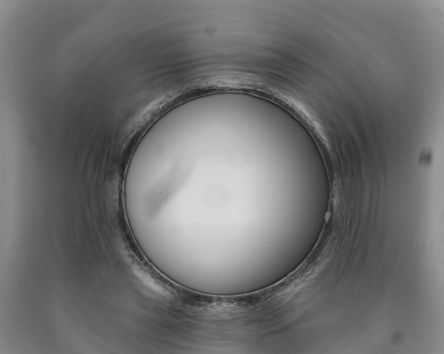 X0000090780445200707201138