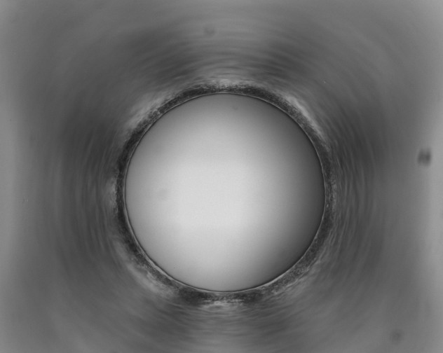 X0000090780447200707201138