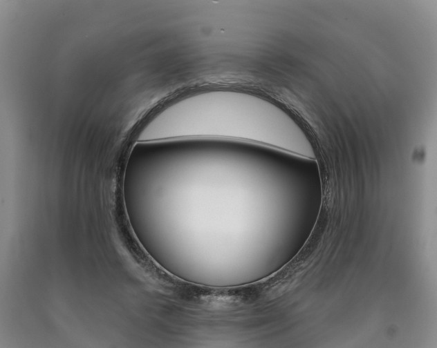 X0000090780448200707201138