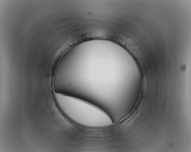 X0000090780449200707201138