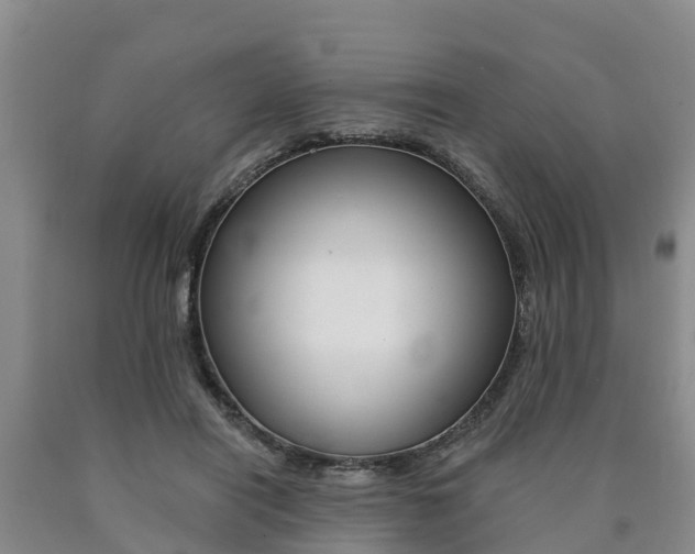X0000090780454200707201138