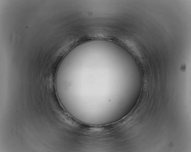 X0000090780457200707201138