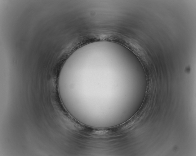 X0000090780461200707201138