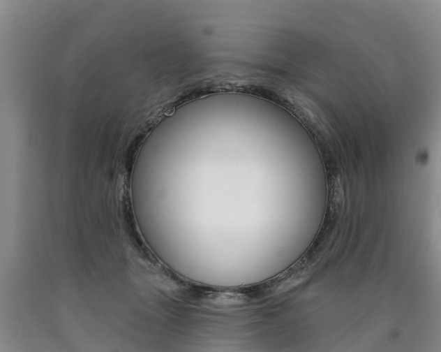X0000090780463200707201138