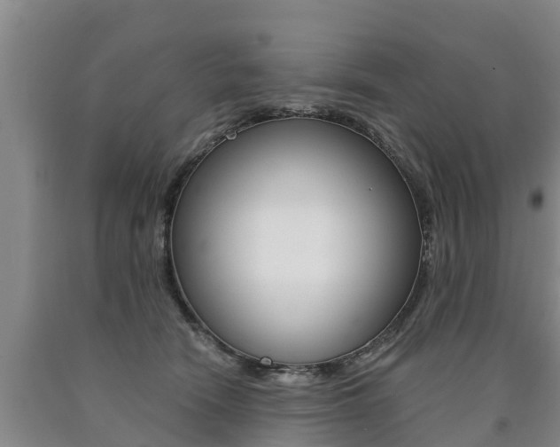 X0000090780466200707201138