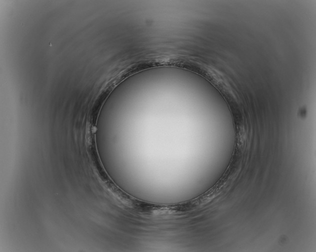 X0000090780470200707201138