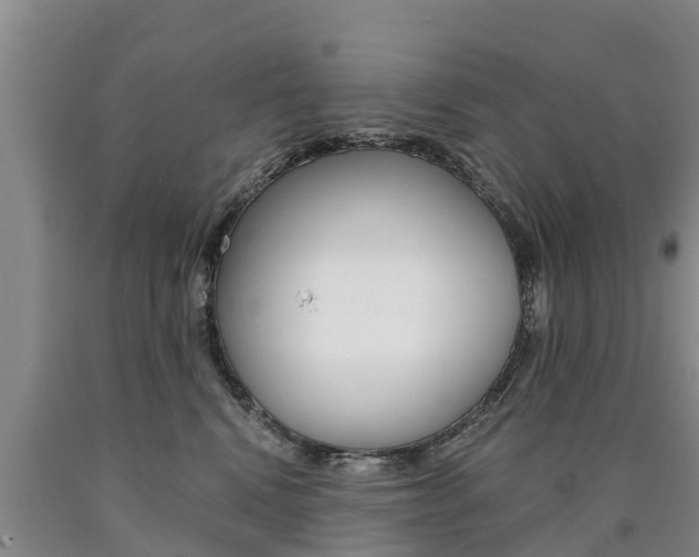 X0000090780472200707201138